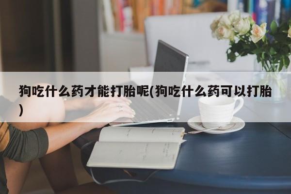 打胎药联系微信狗吃什么药才能打胎呢(狗吃什么药可以打胎)