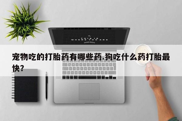 打胎药联系微信宠物吃的打胎药有哪些药.狗吃什么药打胎最快？
