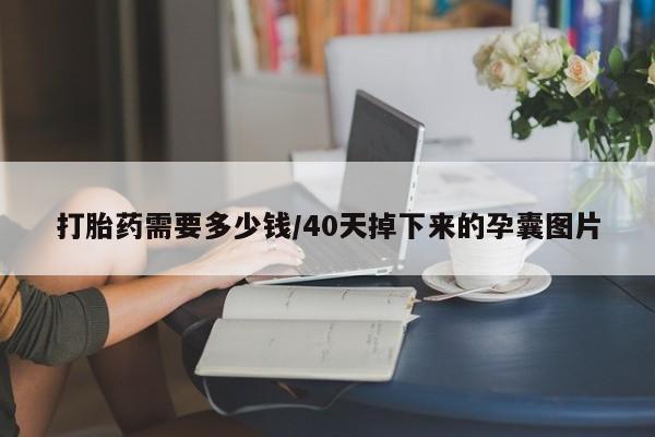打胎药联系微信打胎药需要多少钱/40天掉下来的孕囊图片