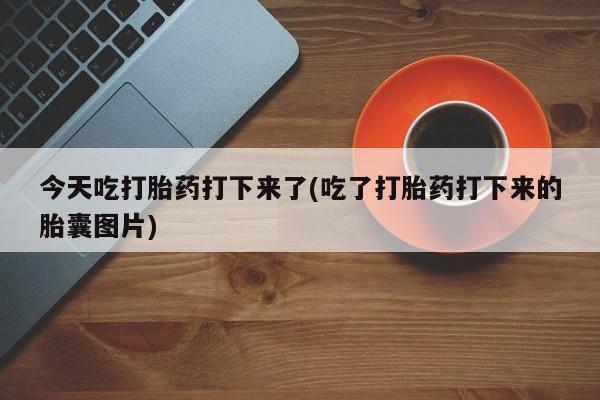 打胎药联系微信今天吃打胎药打下来了(吃了打胎药打下来的胎囊图片)